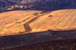 abstract landscape photo